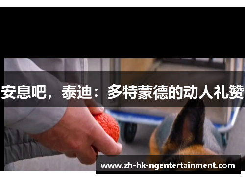 安息吧，泰迪：多特蒙德的动人礼赞
